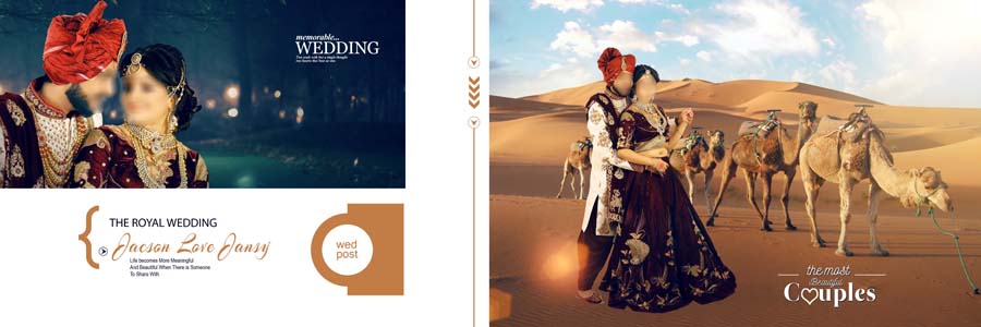 Beautiful 2020 Wedding Album 12x36 PSD DM Design