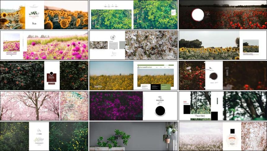 20 New Tintone Floral 12x36 PSD Templates